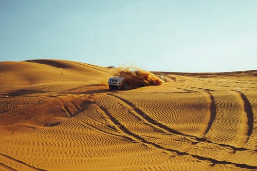 4x4 Desert Safari with Dinner